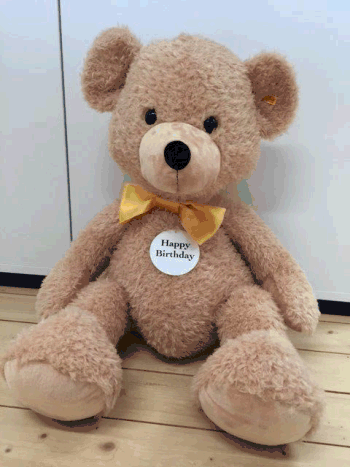 Steiff Teddybär  Fynn 100 cm